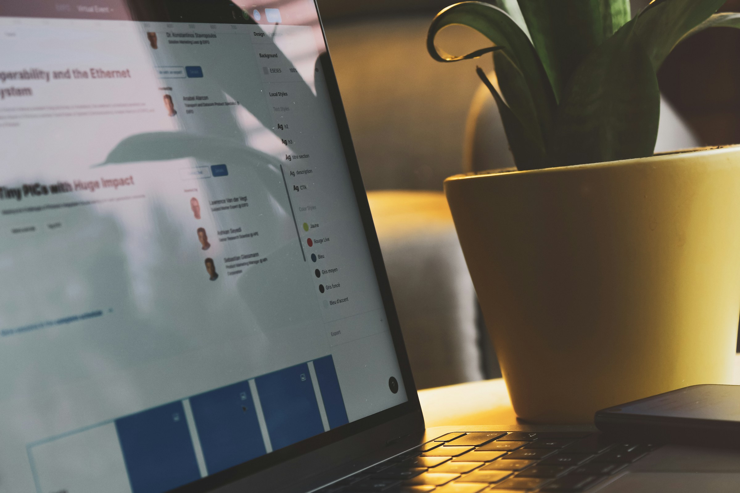 Digital Marketing Agency in Montana